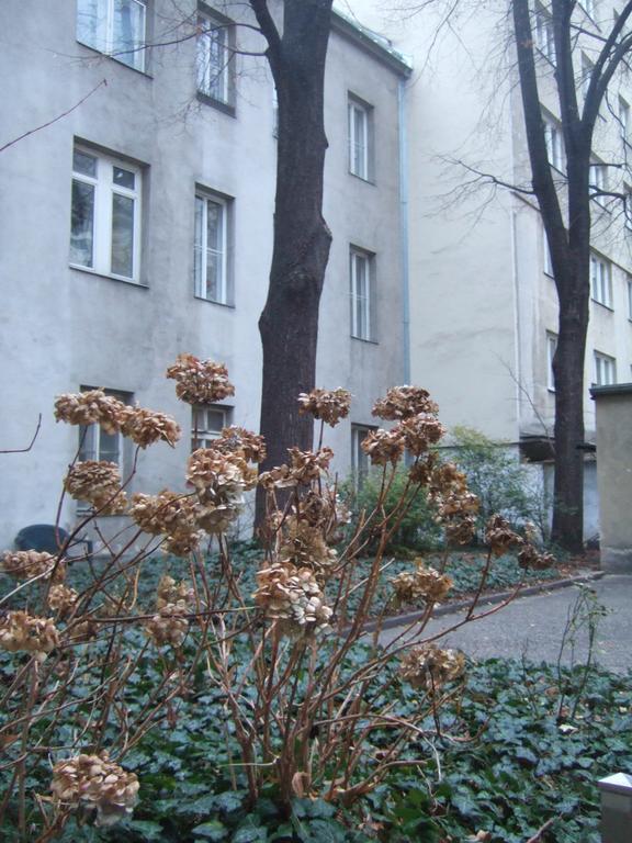 Vienna Top Comfort Apartment Eksteriør billede